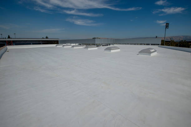 Best Roof Leak Repair  in Winthrop, IA